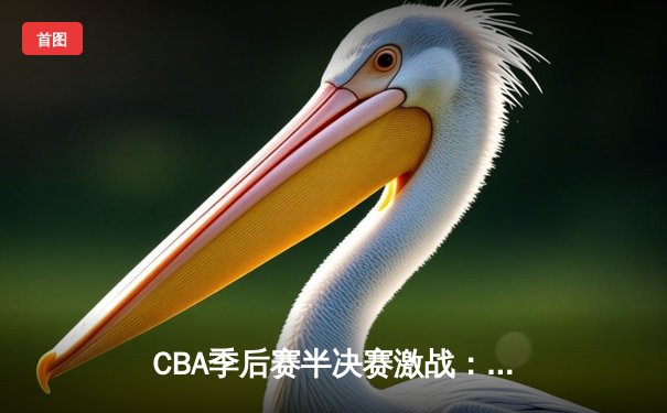 CBA季后赛半决赛激战：辽宁本钢主场险胜广东宏远，赵继伟关键三分定乾坤